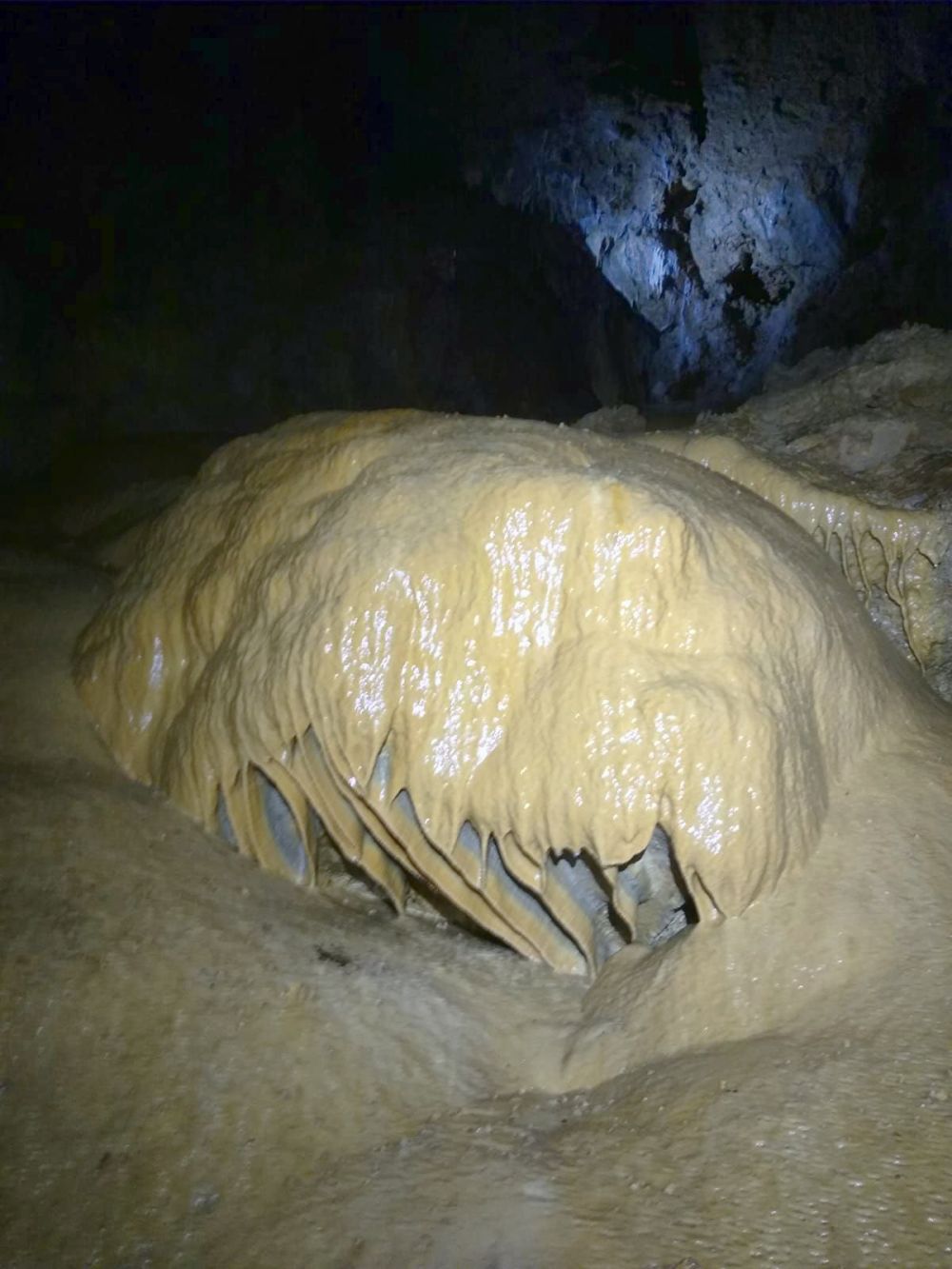 IMG_20220506_1 (20)_web.jpg