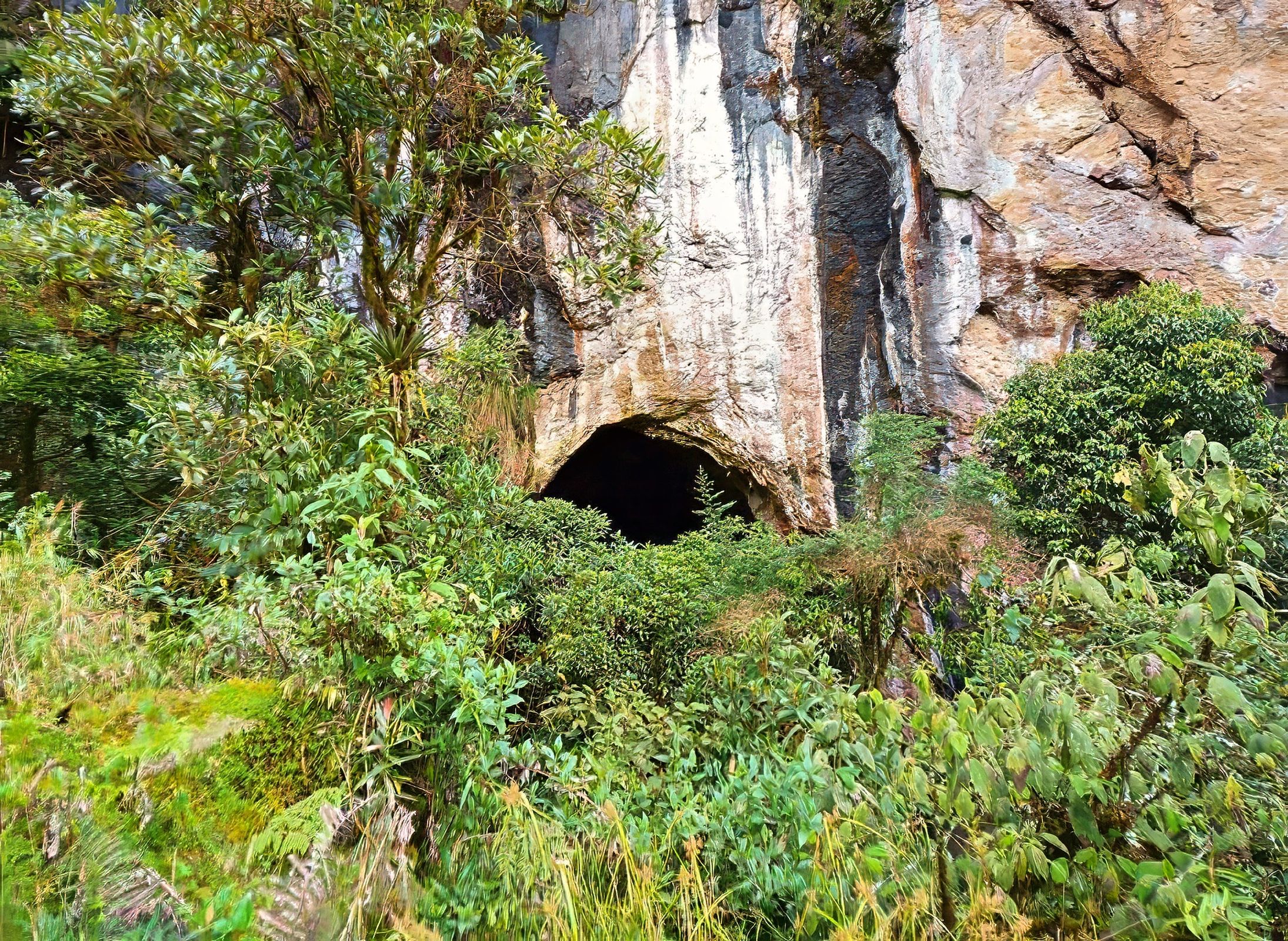 Voute noire Catedral.jpg