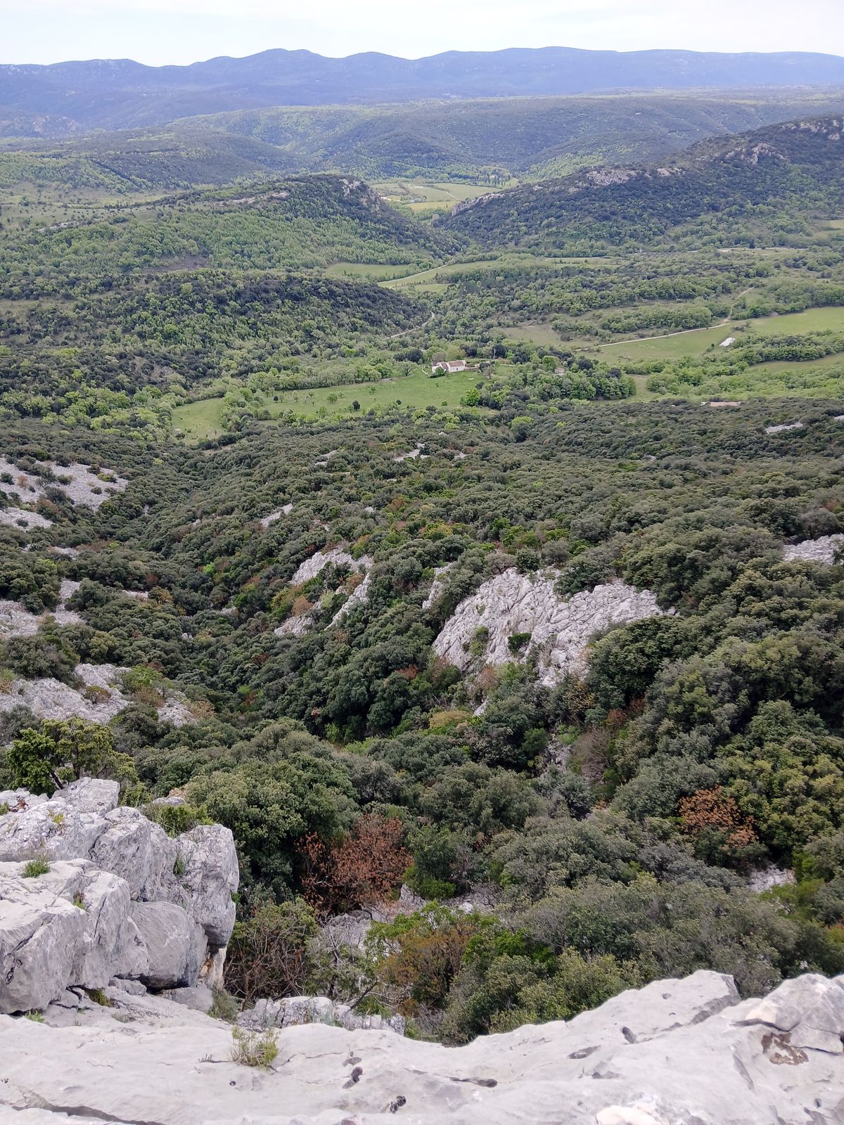 Grotte aval de Rocarebio (3)_resultat.jpg